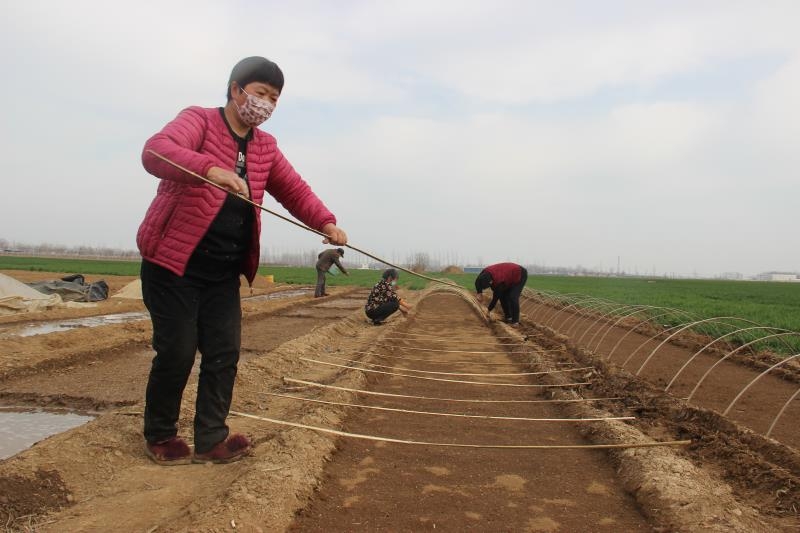 疫情防控、春耕生產(chǎn)兩手抓